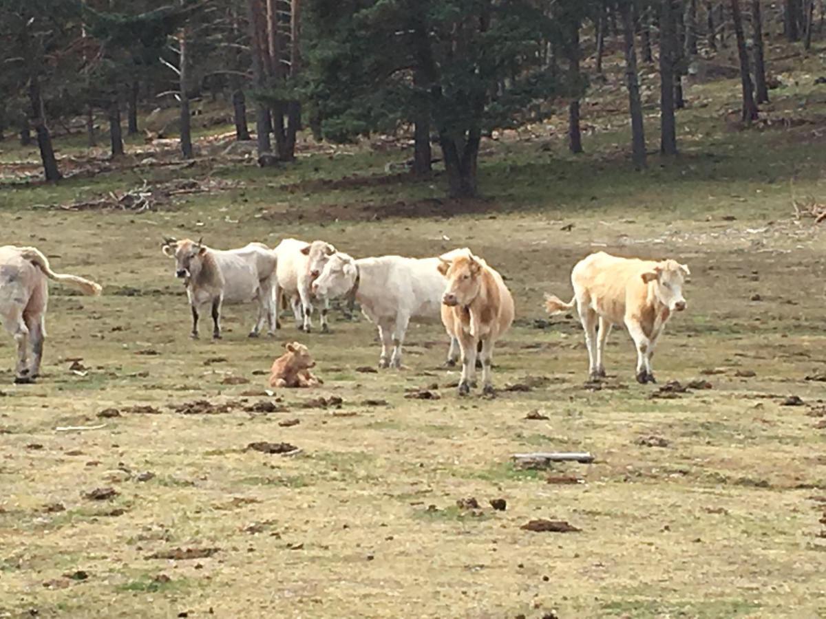 Casa Rural Senderismo Lumbreras Eksteriør bilde
